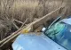 6 victime cu politraumatisme după impactul violent între o mașină și o căruță, în Bacău - Printre răniți este și o adolescentă
