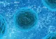 SARS-CoV-3, un coșmar care ar putea deveni realitate. Vicepreședintele Societății Române de Epidemiologie, scenariu terifiant