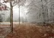 Prognoza meteo pe 4 săptămâni. Ianuarie, luna extremelor. Februarie revine la temperaturi normale