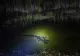 Aligator vs. piton. Confruntarea teribilă dintre cele mai temute reptile - VIDEO