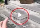 VIDEO – Motivul pentru care unele clădiri din București au această treaptă ciudată pe scările de la intrare – Puțină lume știe