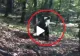 VIDEO – Ursul alerga prin pădure, în mare viteză, și a fost la un pas să dea peste oameni – Cum a reacționat când i-a văzut