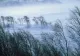 Vremea 7 martie - România, între ninsori și temperaturi de primăvară - Intensificări puternice de vânt