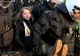 Cunoscuta activistă suedeză Greta Thunberg, reținută de poliție la un protest în Germania - VIDEO