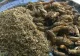 Greierii - ultimii pe lista de „ingrediente” impuse pentru consumul românilor de către Comisia Europeană
