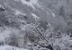 Ciclonul polar a lovit Europa: În multe țări, oamenii sunt blocați în case după furtuni de zăpadă - VIDEO