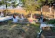 Anchetă de amploare la Suceava după ce un cimitir a fost vandalizat. Polițiștii sunt pe urmele făptașilor - VIDEO