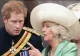 Prințul Harry, alte dezvăluiri legate de familia regală britanică - Afirmații scandaloase despre consoarta regelui - Camilla - VIDEO
