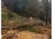 Alunecări de teren în Apuseni. Două localități au rămas complet izolate - VIDEO