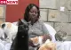 O femeie din Kenya, "mamă" a 600 de pisici! Povestea impresionantă a Sanctuarului Felin din Nairobi