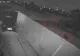 VIDEO șocant. Maidanezii au revenit pe strada unde Ana Oros a fost sfâșiată până la moarte de câini 