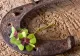 Horoscop 12 ianuarie. Zodia care pune mâna pe o moștenire uriașă! Lipsită de scrupule 