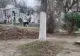 Imagini revoltătoare în cimitir: câini maidanezi lângă sicriul tinerei sfâșiate în zona Lacul Morii, din Capitală - VIDEO