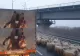 Imagini ireale. O turmă de oi a plecat pe Autostrada Soarelui. Amenzi usturătoare pentru ciobani - VIDEO