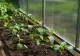 Agricultura devine din ce în ce mai scumpă. Cultivatorii se plâng că vor primi subvenții mai mici