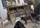 Putem mânca din hrană pentru animale? Efectele sunt surprinzătoare
