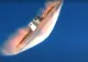 NASA şi Pentagonul pregătesc o super-rachetă nucleară pentru a trimite oameni pe Marte