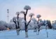 "Polul Nord al Chinei". Orașul Moho a înregistrat -53 de grade Celsius! Este cea mai scăzută temperatură consemnată vreodată