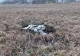 Rachetă din Ucraina, căzută în Republica Moldova. Alertă maximă la Chișinău - FOTO