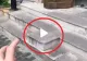 VIDEO – Motivul pentru care unele clădiri din București au această treaptă ciudată pe scările de la intrare – Puțină lume știe