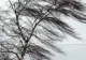Alertă meteo de vreme severă - Cod galben de vânt puternic - Zonele vizate în următoarele ore