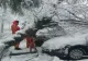 11 maşini, avariate de copacii doborâți de vânt, la Craiova! Vremea extremă le dă de furcă românilor