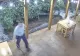 Bătaie cu topoare într-un restaurant din Turda. Bătăușii s-au încăierat din senin - VIDEO