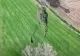 Pământul s-a crăpat pe o lungime de câțiva kilometri. Cum arată falia gigantică produsă de cutremurul din Turcia - VIDEO AERIAN