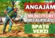 Totul Verde S.A. face angajări