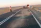 Accident înfiorător în Banat. O turmă de oi, spulberată de o mașină - FOTO