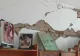 MOTIVUL ASCUNS din spatele reevaluării școlilor! Kelemen Hunor face acuzații grave: "Au fost trecute în categoria de risc seismic II"