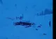 Operațiunea de evacuare a turiștilor de la Cabana Capra s-a încheiat cu succes. La cabana lovită de avalanșă au mai rămas 14 angajați