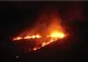 Incendiu puternic de vegetație în Deltă: peste 30 de hectare au ars! Imagini din dronă cu fâșia de foc