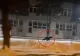 Mesaj RO Alert după ce un urs a fost surprins alergând pe străzile din Sibiu! Oamenii au intrat în panică: zeci de apeluri la 112 - VIDEO