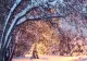 Vremea extremelor în România: Temperaturi de primăvară și ninsori, la final de februarie - Unde lovește valul de frig