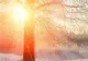 Vreme anormală pentru luna februarie. Prognoza ANM, actualizată: la ce temperaturi trebuie să ne așteptăm astăzi