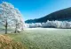 Vremea 17 martie - Fulguieli și vânt puternic - Ce zone sunt vizate de temperaturi scăzute