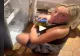 VIDEO – A vrut să bea zeamă de murături, după o petrecere. Ce s-a întâmplat când a desfăcut borcanul i-a făcut pe prietenii ei să se prăpădească de râs