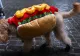 Hotdog sau sendviș?  Întrebarea din cauza căreia le sare muștarul americanilor