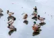 Cea mai friguroasă noapte din această iarnă, cu temperaturi ca în Siberia. Va fi ger și pe timpul zilei - HARTA