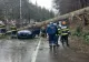Traficul pe DN1 în Azuga, blocat total, azi dimineață. Un brad s-a prăbușit peste o mașină