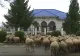 Revolta fermierilor dintr-o localitate constănțeană, după ce soțul primăriței i-a lăsat fără pășuni: măsură radicală