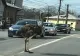  Un struț scăpat dintr-o mașină de proprietar a încurcat traficul la Găești! Imagini virale