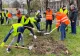 Sute de elevi au plantat copaci în Parcul Eroilor din Sectorul 5 al Capitalei - VIDEO
