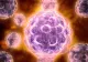 Un virus derivat din vaccinuri face RAVAGII - URGENȚĂ de sănătate publică, anunțată de OMS și o fundație a lui Gates