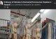 Pagina de Facebook a ambasadei Ucrainei la București a fost spartă