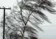 Vremea extremelor: Cod GALBEN de vânt puternic în 9 județe ale țării! Meteorologii au emis mai multe atenționări nowcasting