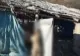 Scene de groază într-un adăpost de animale din județul Cluj. Bivoli morți și un câine spânzurat - FOTO