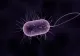 Alertă medicală: două bacterii extrem de răspândite NU mai răspund la antibiotice - una dintre cele mai grave amenințări la nivel mondial