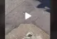 VIDEO – Absolut uluitor ce era ascuns sub o gură de canalizare, în mijlocul orașului – Un trecător a filmat totul prin găurile scurgerii